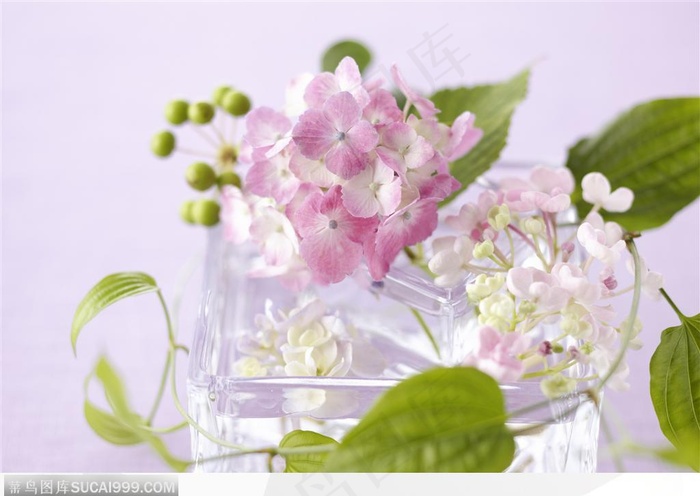 玻璃瓶中的鲜花 花束