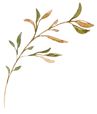 唯美森系手绘水彩花朵 免抠