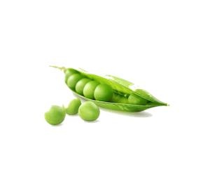 豌豆免抠(300x255)