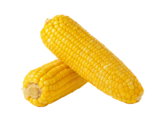 玉米 (30)超市商品白底图免抠实物摄影png格式图片透明底