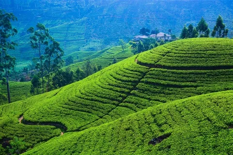唯美的山坡草原景色 唯美的山坡草原景色