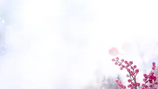 简约唯美浪漫鲜花背景图片