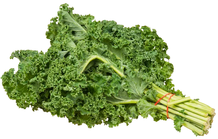 蔬菜绿色菜叶