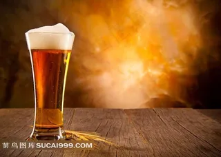 啤酒系列 - 一杯新鲜美味的啤酒