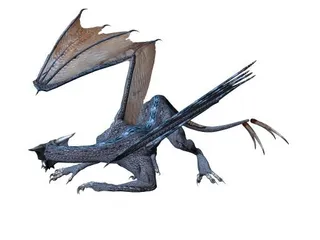 龙PNG图像，免费龙图片免抠