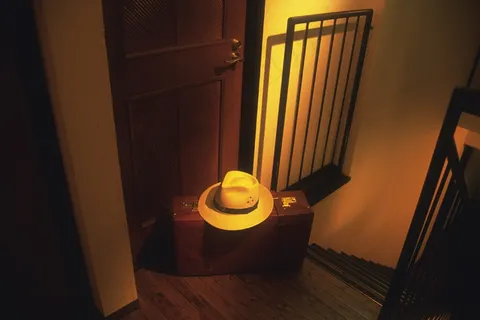 帽子旅行箱图片