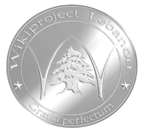 银色 PNG免抠(678x621)