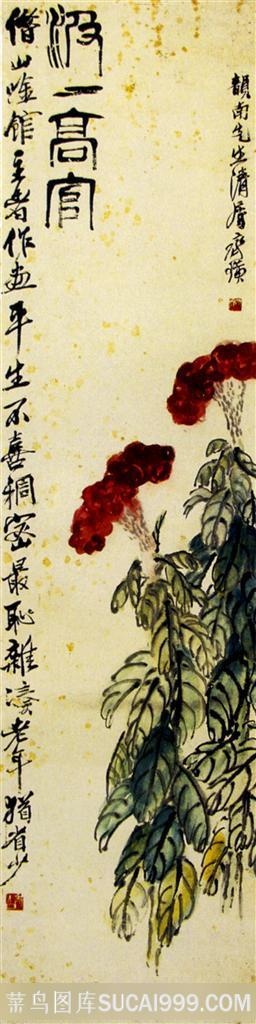 国画名家作品-齐白石的鸡冠花