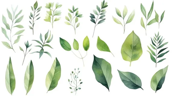 绿叶植物树叶茶壶免抠