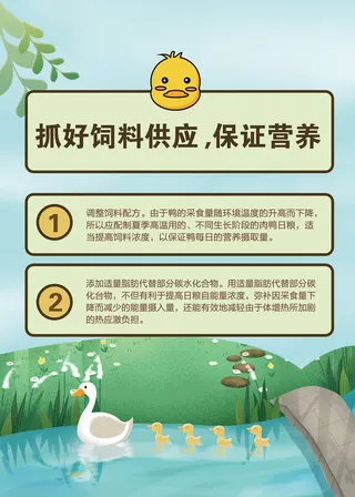 夏季肉鸭饲养管理技术