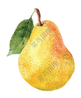 梨子高清图