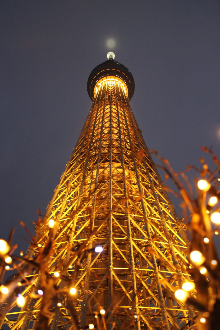 高清唯美城市夜景