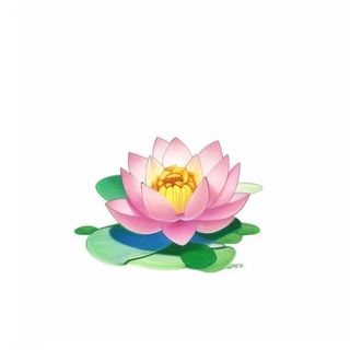莲花
