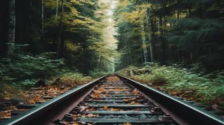 森林里的火车铁路轨道摄影图