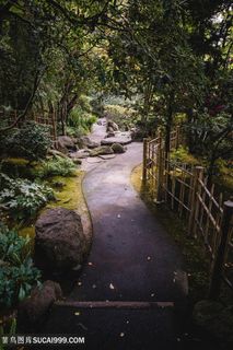 园林中的小路图片