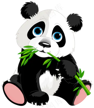 一只吃竹子的大熊猫