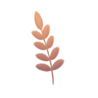 叶子树叶红色免抠