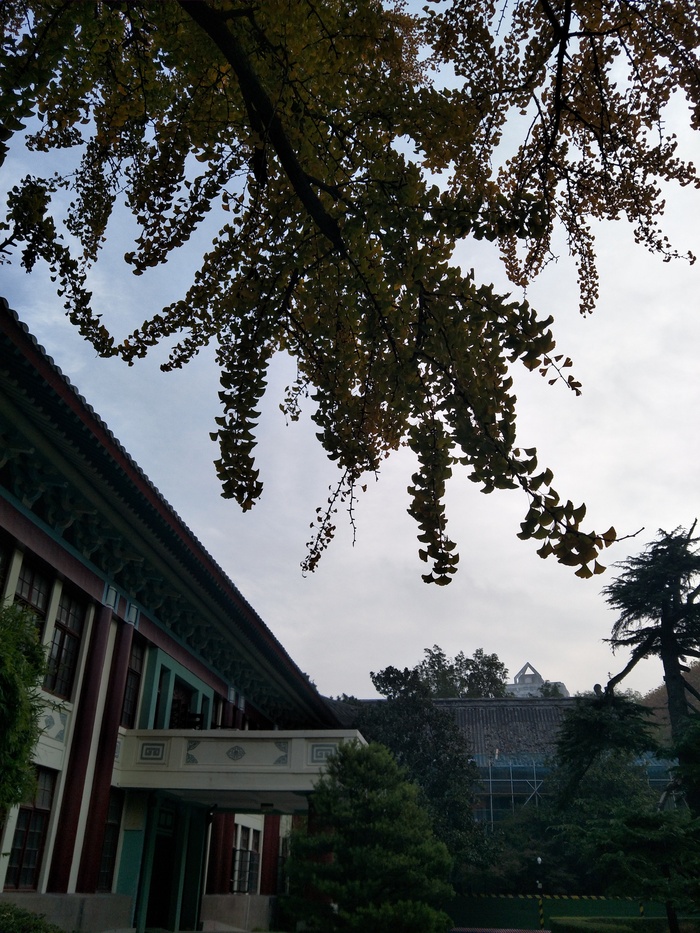 秋天的风景