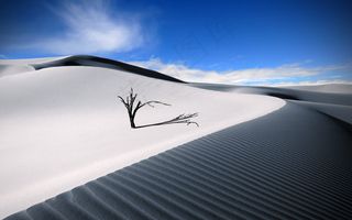 蓝天下的沙漠风光图片