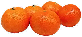 橘子免抠素材 (37)