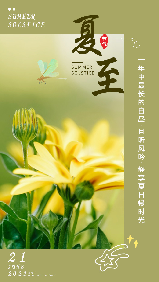 夏至简约花卉海报