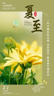 夏至简约花卉海报 夏至简约花卉海报