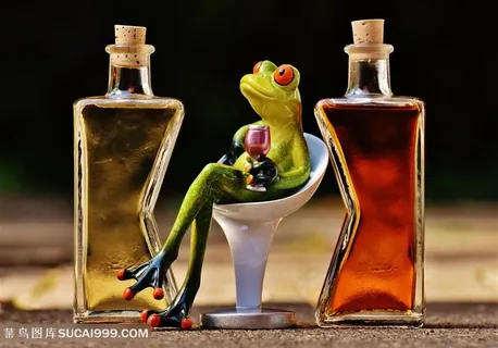 可爱的青蛙模型玩具