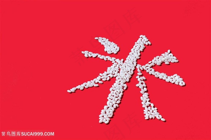米字大米图片