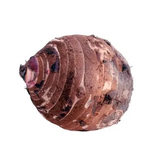 蔬菜 水果 新鲜 背景  素材