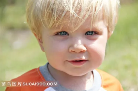 草地上的男孩 草地上的男孩