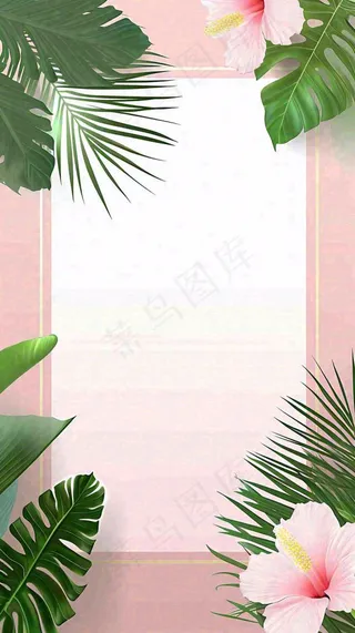 粉色鲜花绿植清新插画，书信书签邀请函