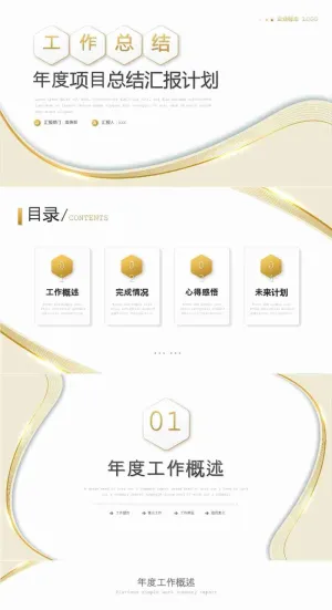 简约白金项目工作总结工作汇报ppt模板