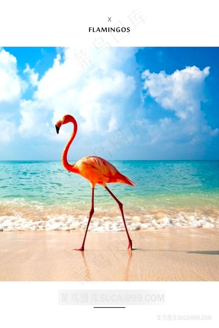 唯美火烈鸟海景风景画