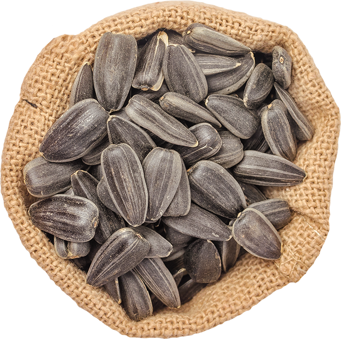 Sunflower Seeds