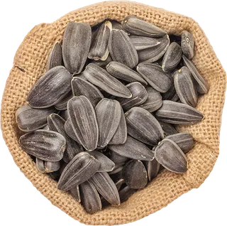 Sunflower Seeds