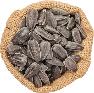 Sunflower Seeds Sunflower Seeds