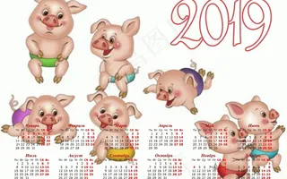 2019猪年拜年日历图片