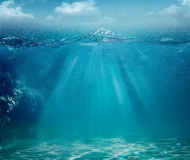 唯美的海底风景高清图片