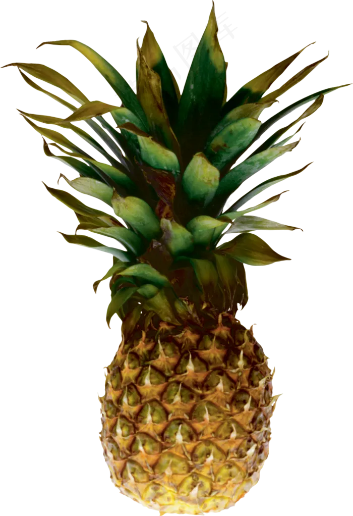 PNG 菠萝 