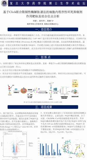 学校简约海报