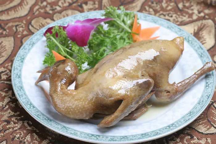 鞭花泡鸽子1