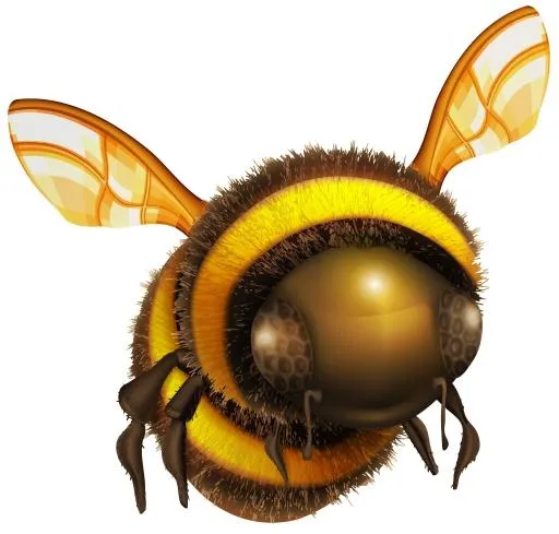 蜜蜂免抠(3000x2870)