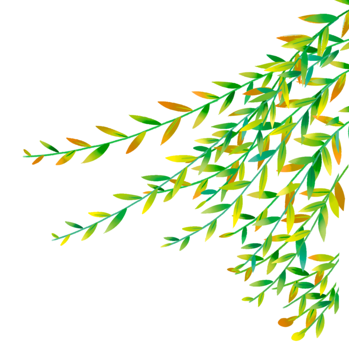 春天绿色春季水墨柳树柳条柳叶春季海报设计PNG免扣素材