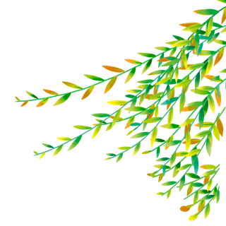 春天绿色春季水墨柳树柳条柳叶春季海报设计PNG免扣素材