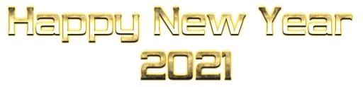 2021 年 PNG免抠(3029x733)