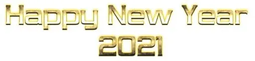 2021 年 PNG免抠(3029x733)