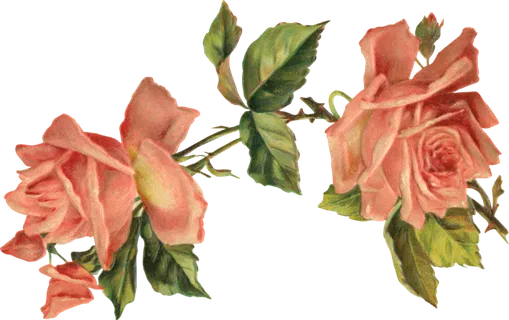 古典花卉png免扣素材