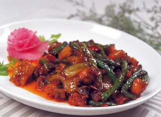 0911CC-178豆角茄子鸡