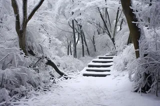 冬天大雪雪花雾凇摄影图