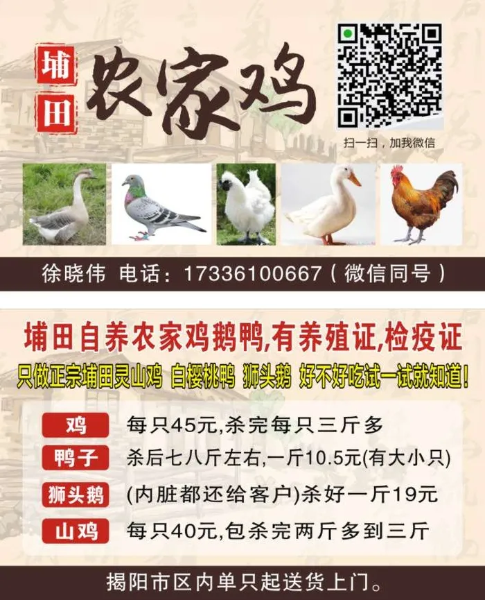 农家鸡鹅鸭名片cdr矢量模版下载
